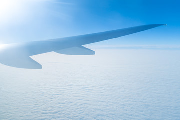 The wing in the sky on the background of the bright sun