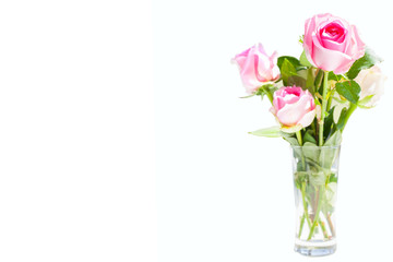 pink rose on white background with copy space for text and clipp