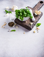 Ingredients for making green pesto sauce. Basil in white mortar on wooden cutting board. Healthy italian food. Copy space.