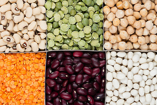 Legume background, assortment  -  kidney beans, peas, lentils in square cells closeup top view. Healthy protein food.