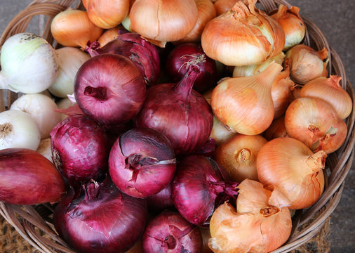 red and yellow onions for sale at the market