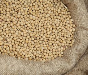 ripe soybeans for sale at the market of cereals