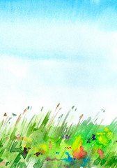 Landscape with field and flowers. Summer image. Watercolor hand drawn illustration.