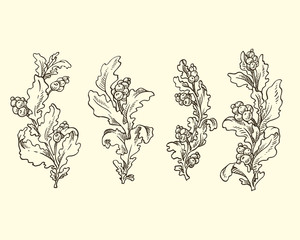 Fototapeta premium Graphic leaves