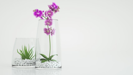 Fototapeta na wymiar Flowers in a Glass With a modern layout.