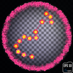 Zodiac sign Scorpio. Primrose concept. Flowers concept. Constell