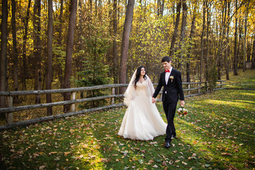 Newlyweds walking in yellow park at wedding day