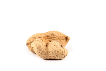 Roasted peanuts in shell