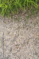 Dry leaf on the floor