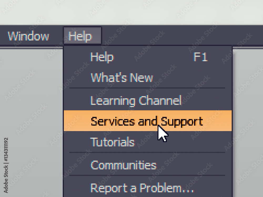 Poster software menu item with support service command