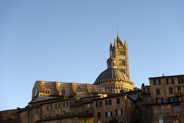 Fototapeta na wymiar Siena Cathedral (Santa Maria Assunta) 1220-1370, in the evening. Tuscany, Italy