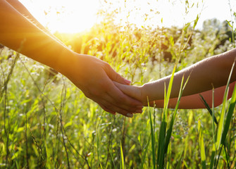 Hands of holding each other in field