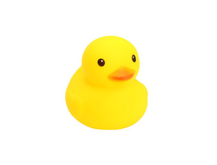 yellow rubber duck on white background
