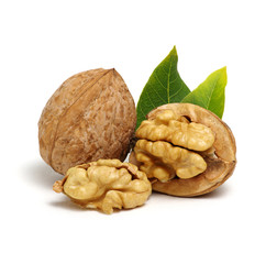 Walnuts with leaves