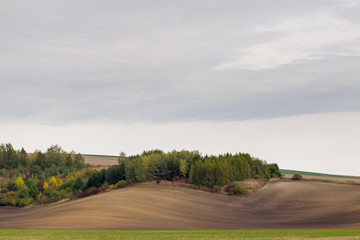 Moravian Fields. The landscape around Kyjov called the Moravian Tuscany, Czechia, Europe.