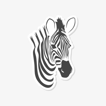 Zebra sticker Flat Graphic Design - vector  Illustration 