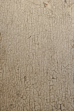 texture cretto