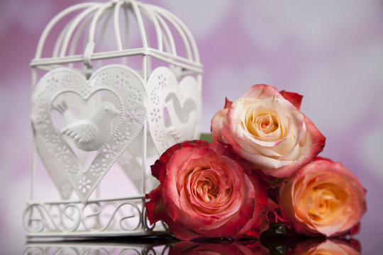 Love and cage, romantic vintage love background