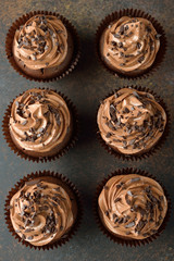 Chocolate cupcakes