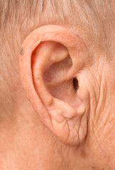 Naklejka premium female ear wrinkles