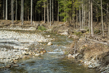 Mountain stream in Chocholwska Valley. Tatra, Poland