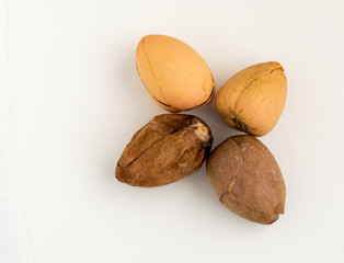 Four avocado seeds isolated on a white background