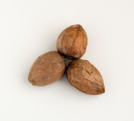 Three avocado seeds isolated on a white background