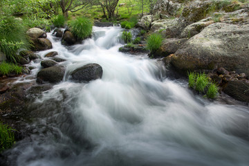 Fast river flowing through rocks in summer forest.