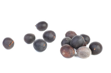 Lotus seeds