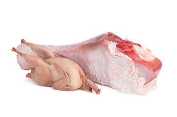 Raw turkey thigh and quail