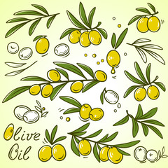 olive icons set