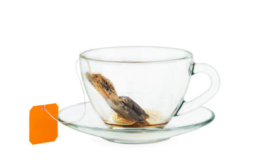 Black tea teabag in empty cup