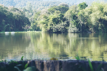 Beautiful green nature mountain , tree and reservoir view from Northern part of Thailand