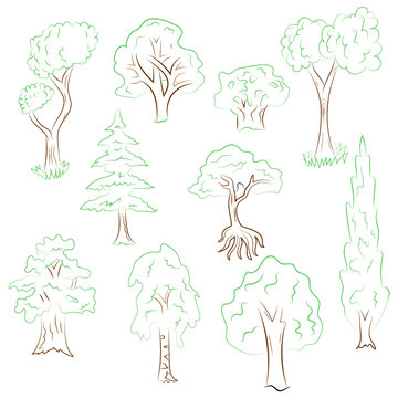 Hand Drawn Set of Trees. Doodle Drawings of Green Fir, Cypress, Birch, Oak in Sketch Style. Vector Illustration.