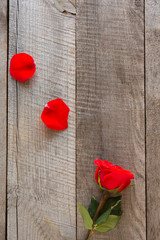 Valentine's card. Red roses and petals on wooden table background. Top view.