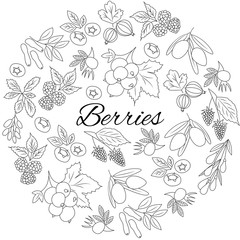 Hand drawn outline berries isolated. Round set.