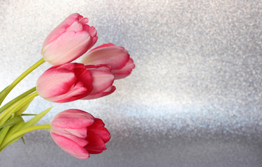 Rosa Tulpen auf glitzerndem Hintergrund