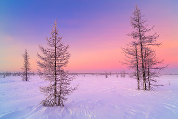Winter sunrise landscape with glowing red sky. Panorama of winter forest in snow