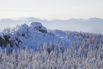 Winter landscape. Snow covered fir trees and rocks.