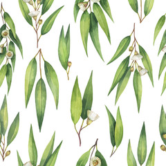 Watercolor vector seamless pattern with eucalyptus leaves and branches.