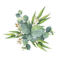 Watercolor vector bouquet with green eucalyptus leaves and branches.