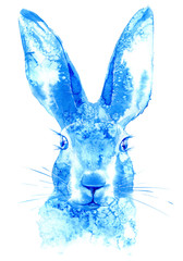 Naklejka premium Hare. Wild animal image. Watercolor hand drawn illustration.