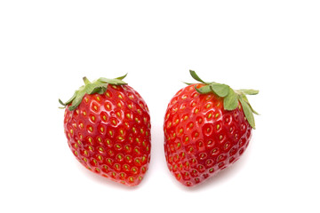 イチゴ　とちおとめ