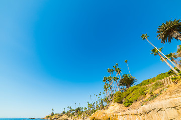 Cliff in Laguna Beach