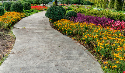 Concrete Pathway in park