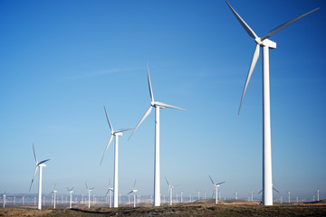 Fototapeta premium Energia wiatrowa
