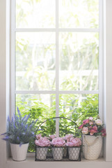 Artificial flowers on the window