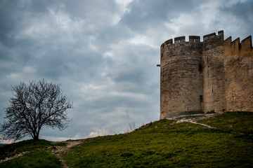 Fototapeta na wymiar Le Fort Saint-André de Villeneuve-lès-Avignon