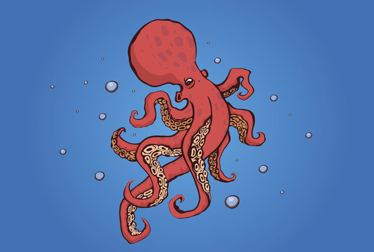 octopus - vector
