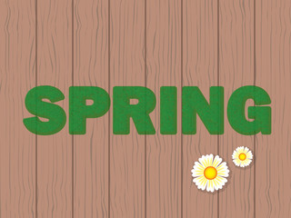 text "spring" made of grass on wooden background